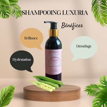 Shampooing Luxuria AZAELY pour les cheveux texturés, bouclés, afro et frisés